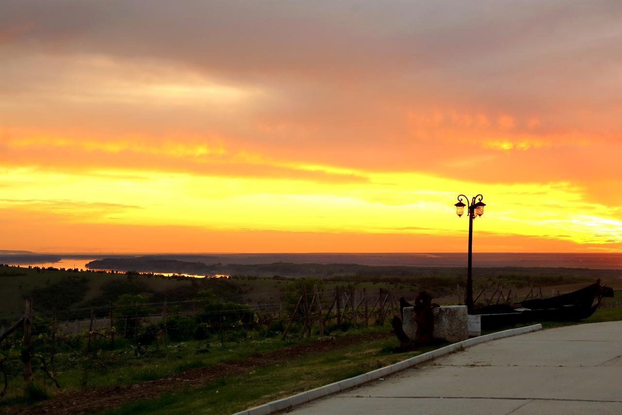 Seven Generations Winery Hotel Mechka المظهر الخارجي الصورة