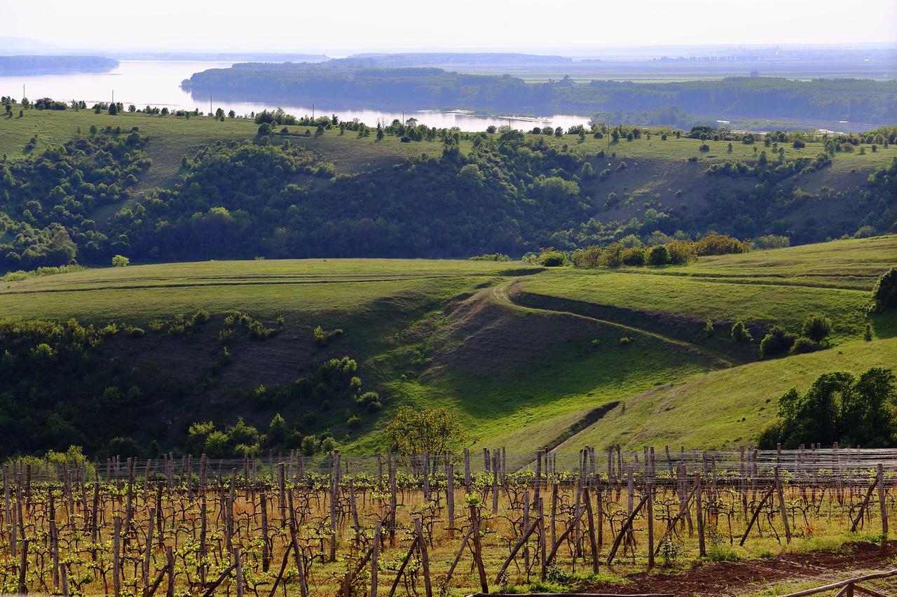 Seven Generations Winery Hotel Mechka المظهر الخارجي الصورة