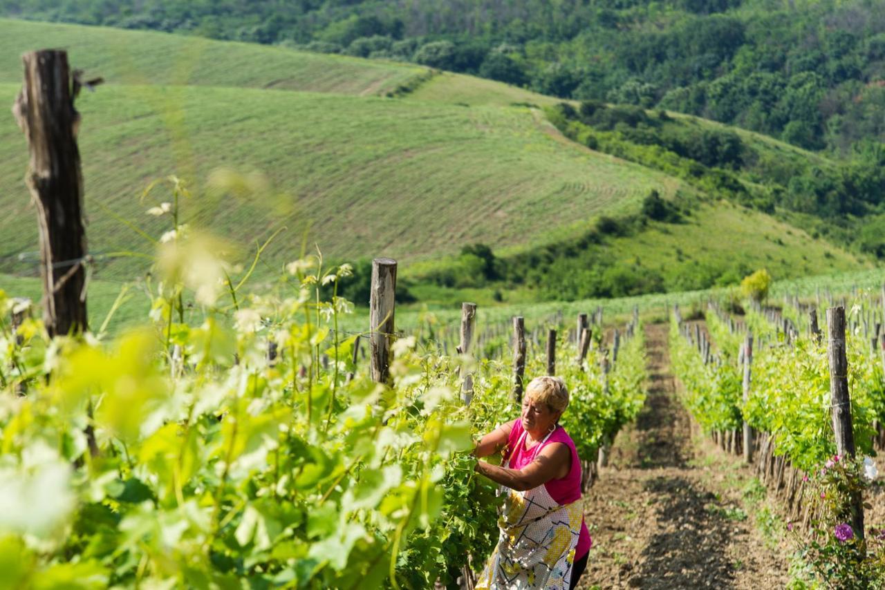 Seven Generations Winery Hotel Mechka المظهر الخارجي الصورة